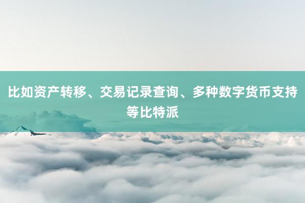 比如资产转移、交易记录查询、多种数字货币支持等比特派