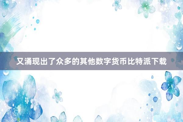 又涌现出了众多的其他数字货币比特派下载