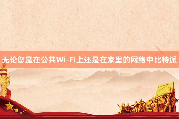 无论您是在公共Wi-Fi上还是在家里的网络中比特派