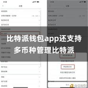 比特派钱包app还支持多币种管理比特派