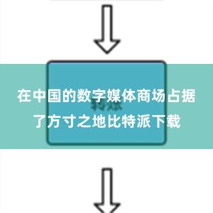 在中国的数字媒体商场占据了方寸之地比特派下载